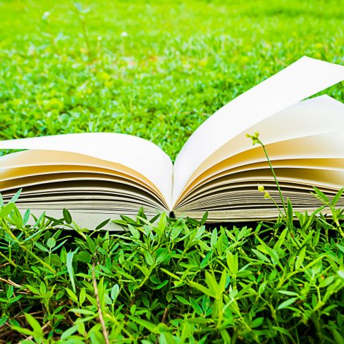 Notebook on grass
